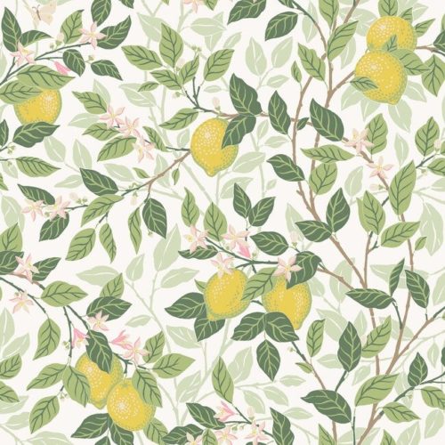 Citrontrad 5702
